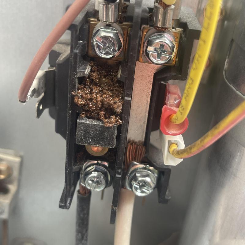Condenser contactor with ants inside electrical panel