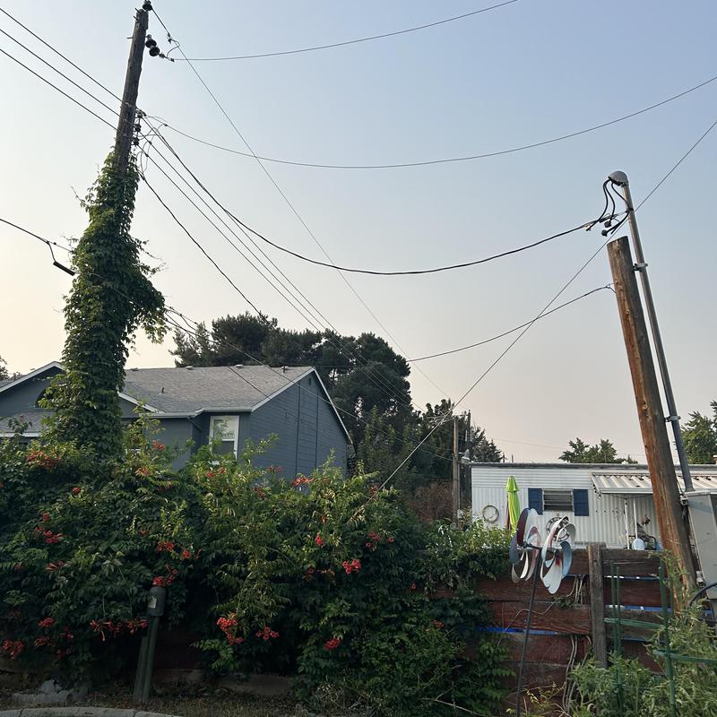 Power pole with overhead electrical lines in yard
