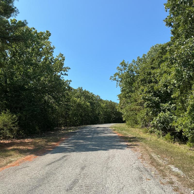 Roadside trees and limbs trimmed for safety clearance Roadside trees and limbs trimmed for safety clearance