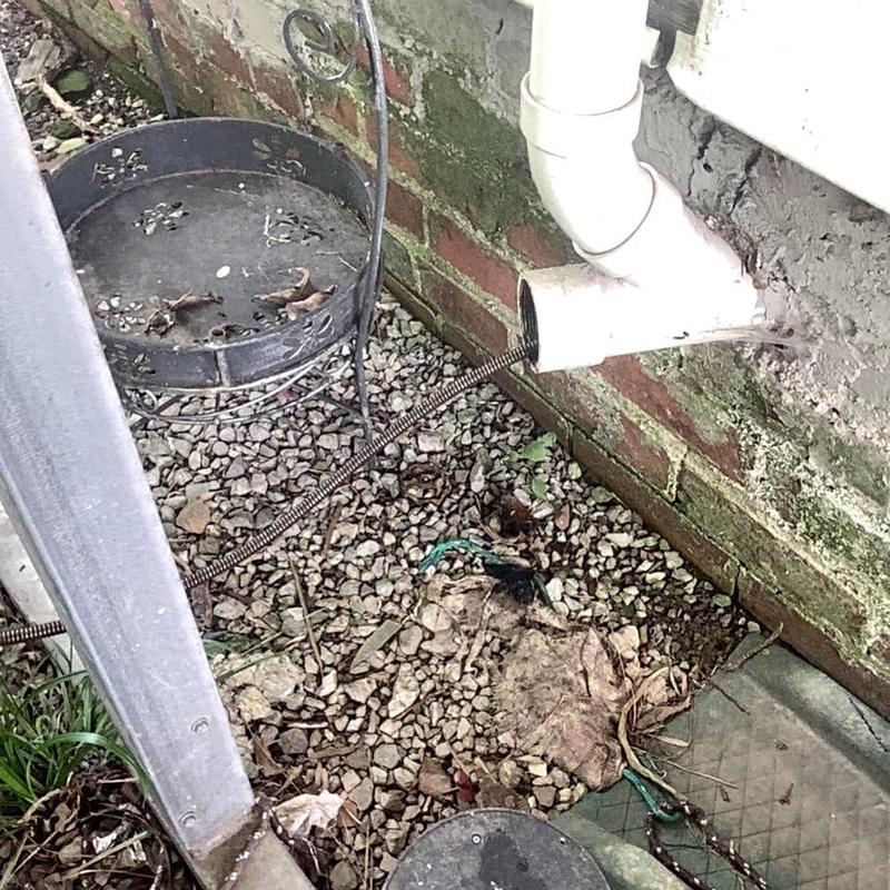 Drain line with plumbing cable clearing blockage outdoors Drain line with plumbing cable clearing blockage outdoors