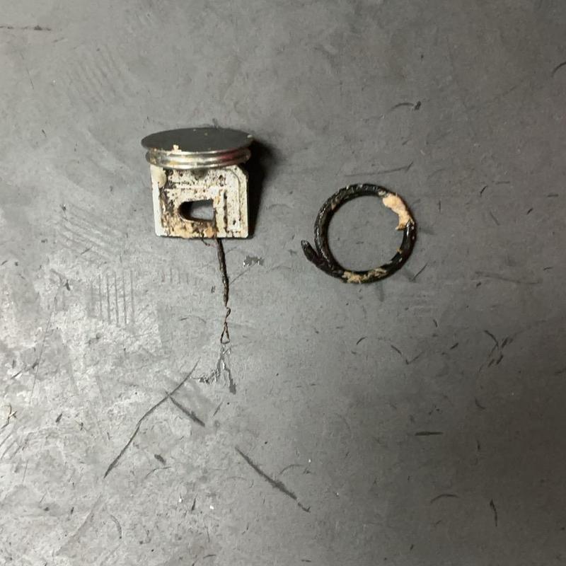 Sink stopper with torn O-ring removed from drain Sink stopper with torn O-ring removed from drain