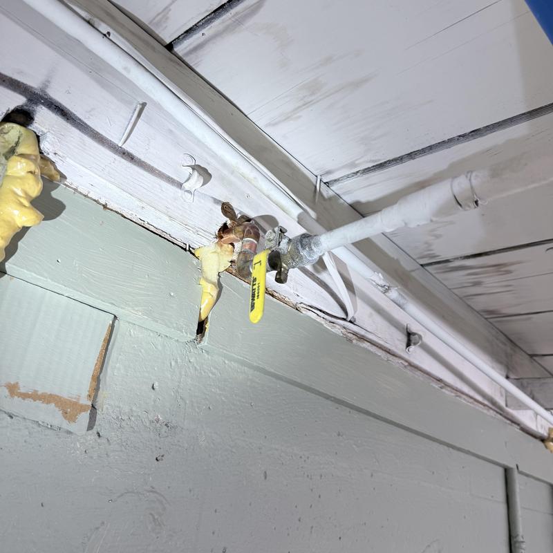 Backflow preventer and frost-free hose valves installation