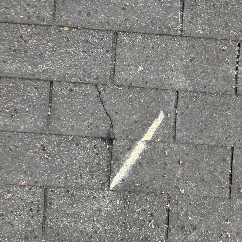 Asphalt roof shingle with visible crack and marking