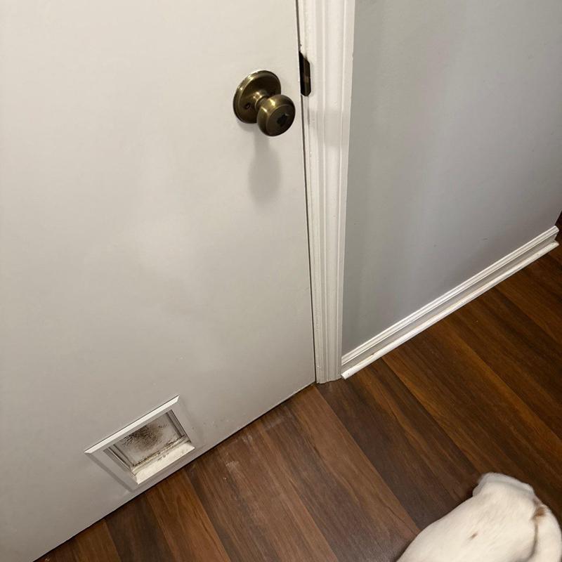 Pet door on white interior door with hardwood floor