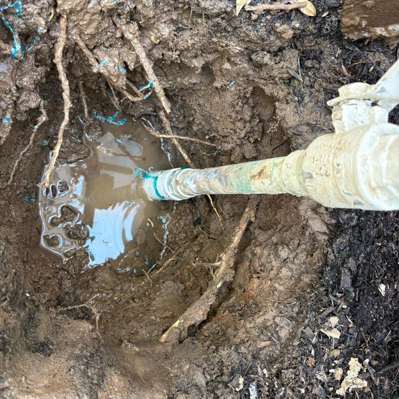 Underground water pipe leak with pooling water