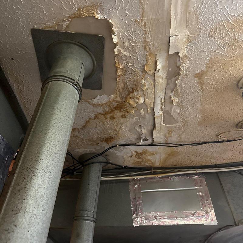 Ceiling drywall with water damage and rust stains
