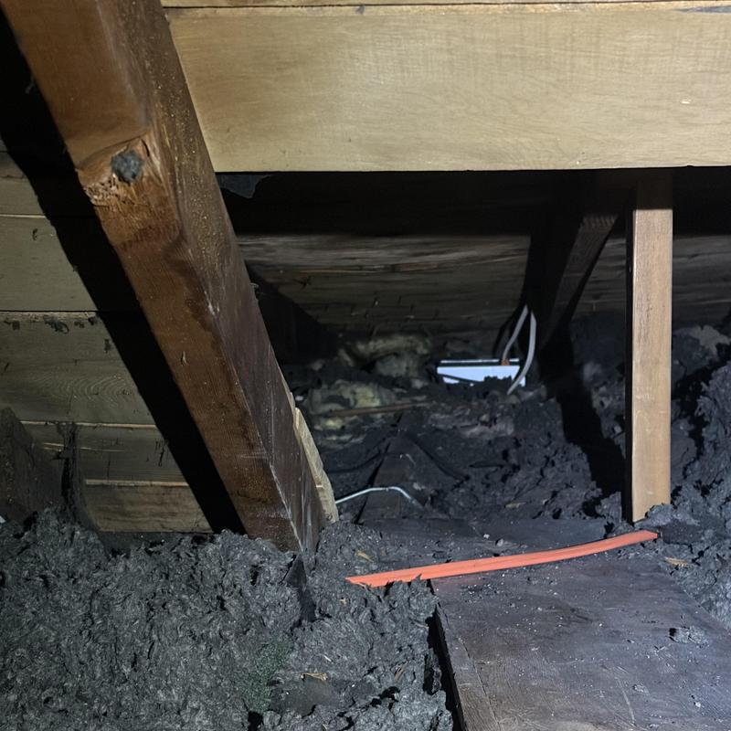 Attic insulation and exposed electrical wiring above ceiling joists