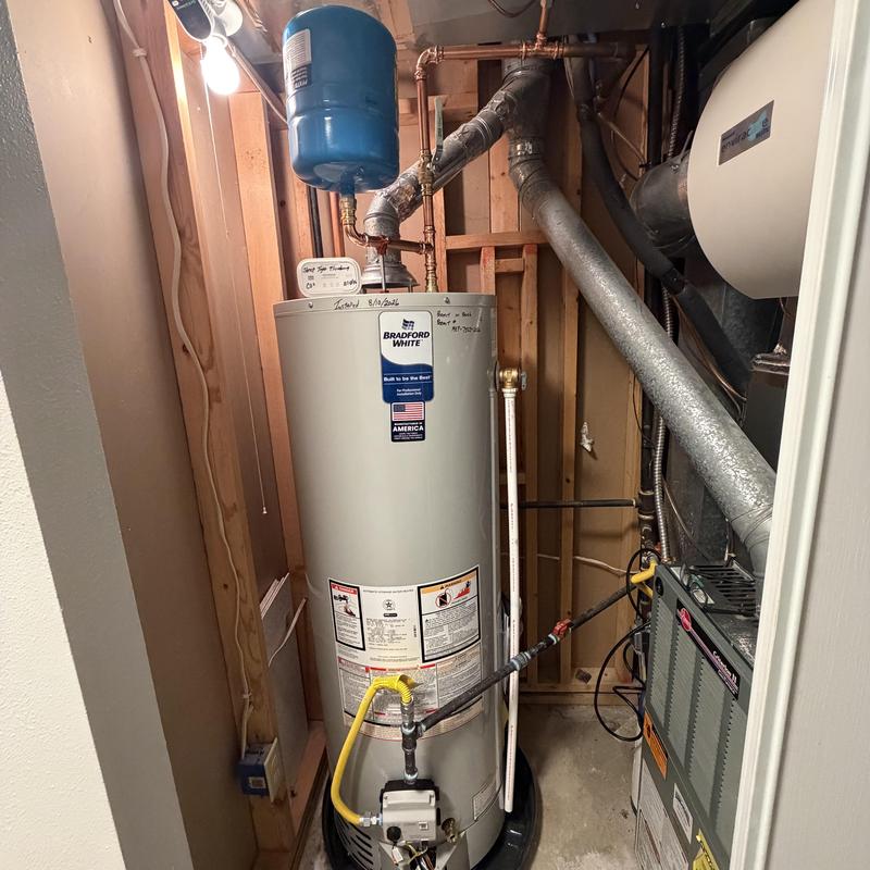 Water heater with expansion tank and vent piping Water heater with expansion tank and vent piping