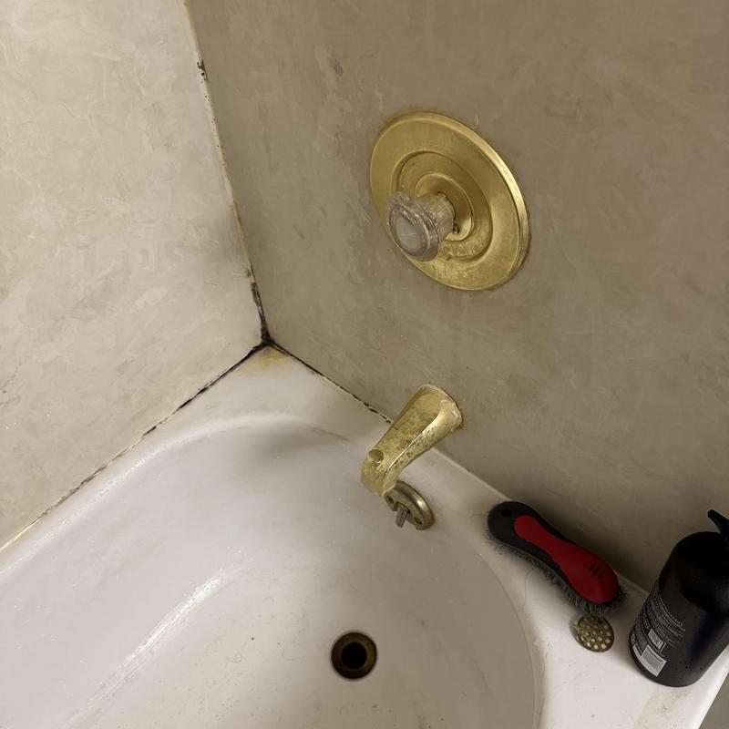 Bathtub spout and overflow drain repair inspection