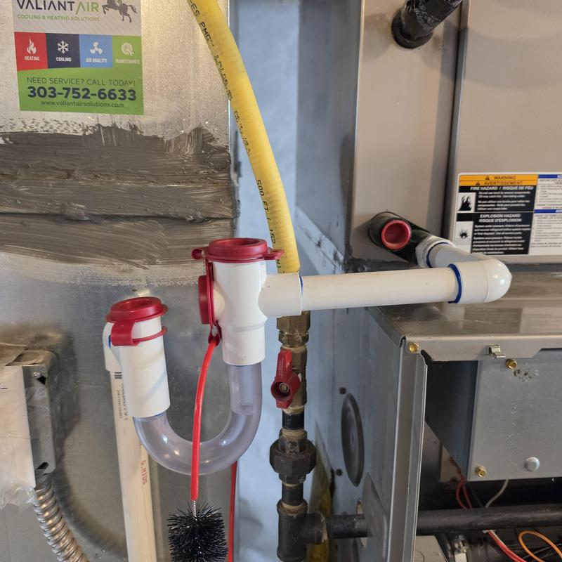 Carrier AC drain pipe with clear trap and clean outs Carrier AC drain pipe with clear trap and clean outs