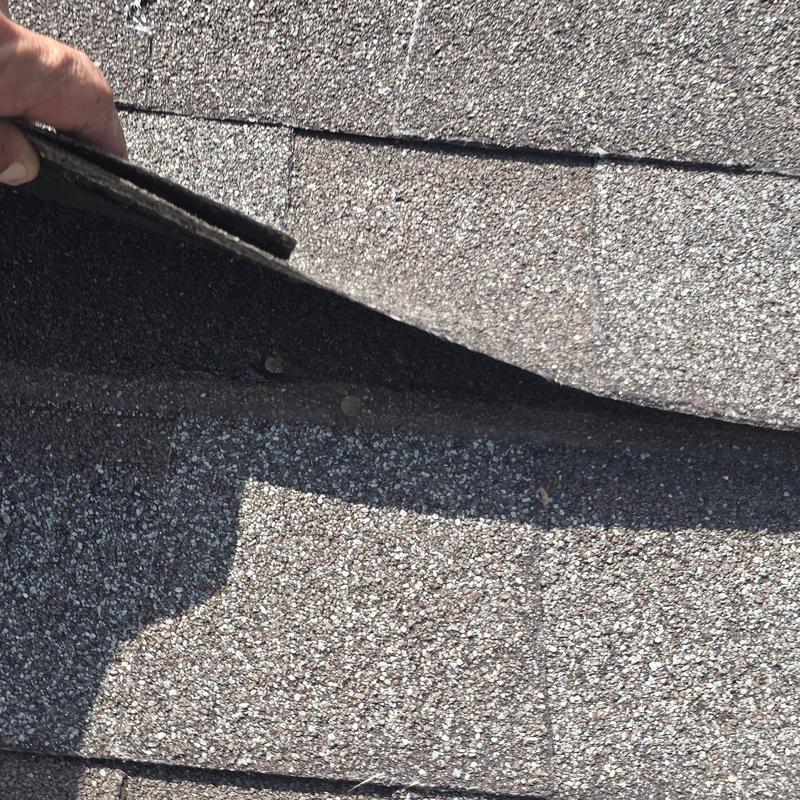 Shingle roof with lifted edge and exposed nails