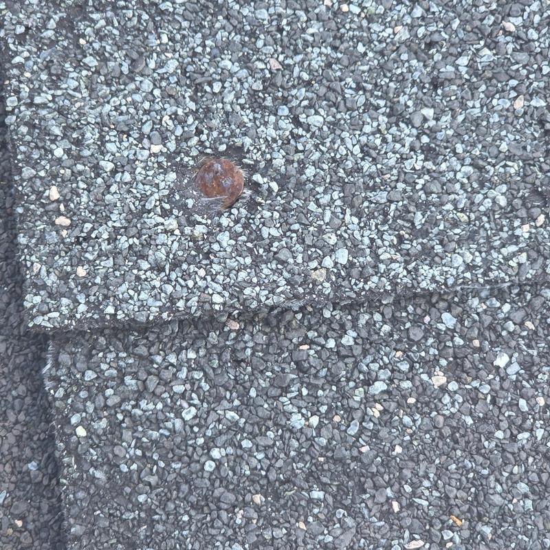 Shingle roof nail pop close-up with rusted nail head