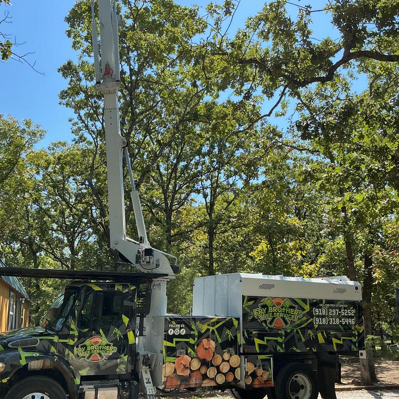 Bucket truck for tree removal near home