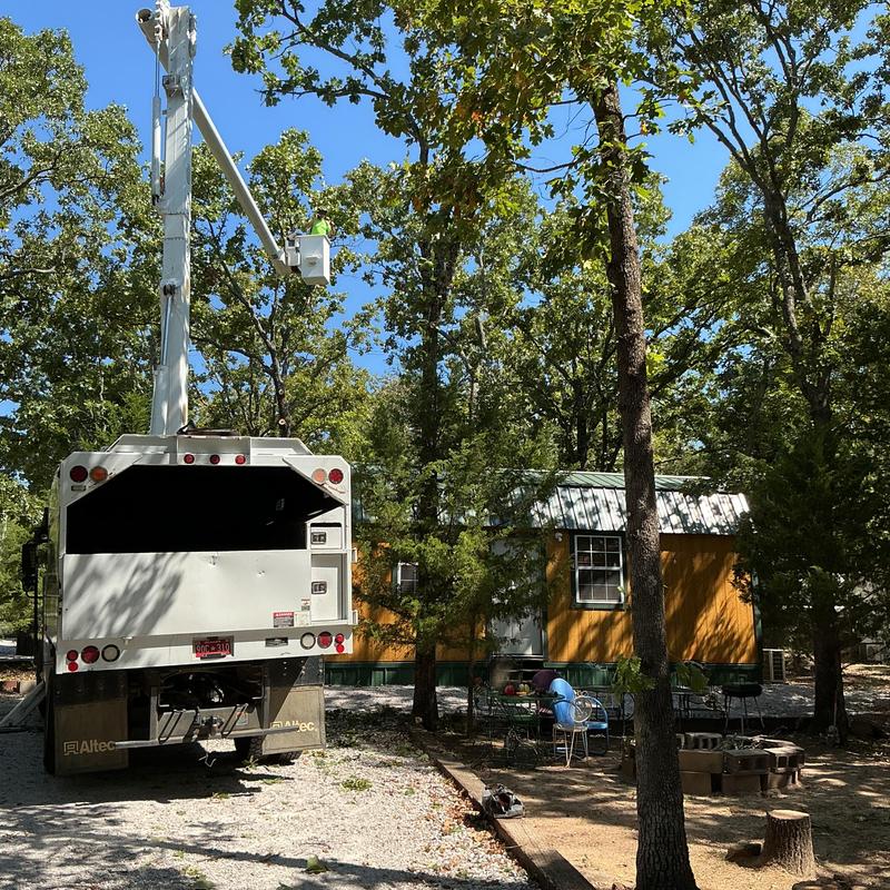 Bucket truck for tree trimming near home