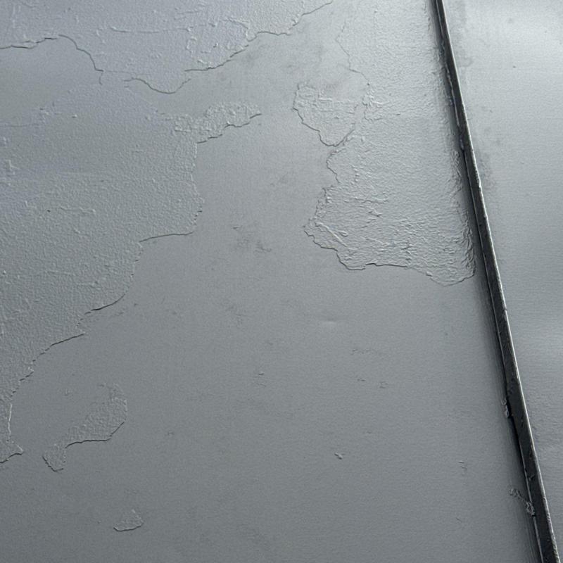 Roof membrane with peeling and blistering damage
