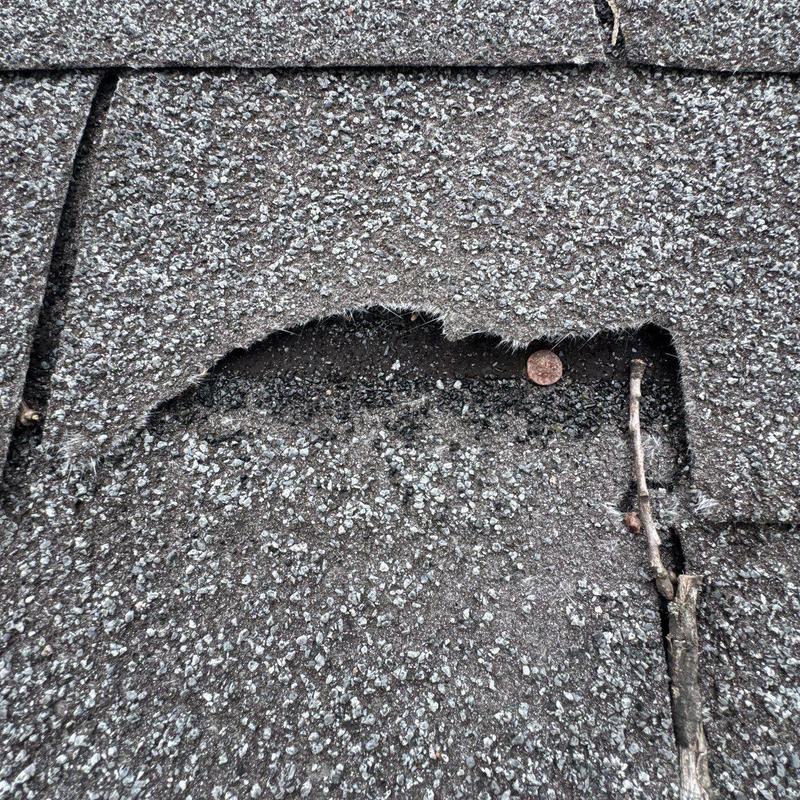 Asphalt shingle with hail damage and lifted granules