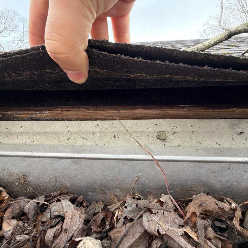 Roof underlayment inspection showing layer separation and wood damage
