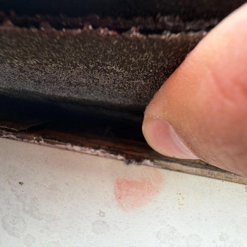 Roof shingle lifting showing underlying damage close-up