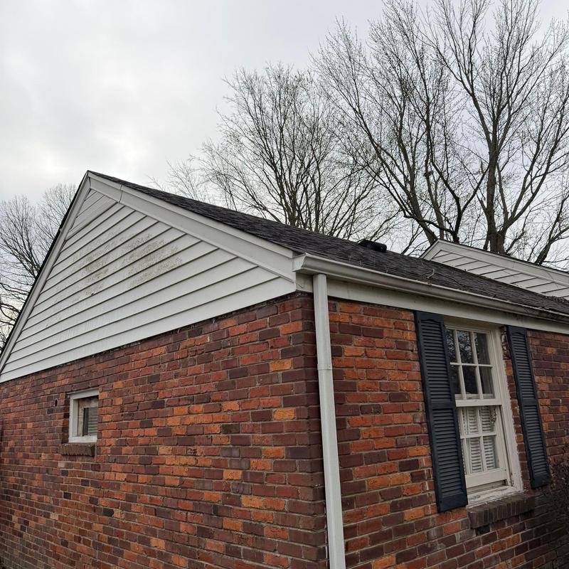 Roof shingles with minor discoloration on brick house
