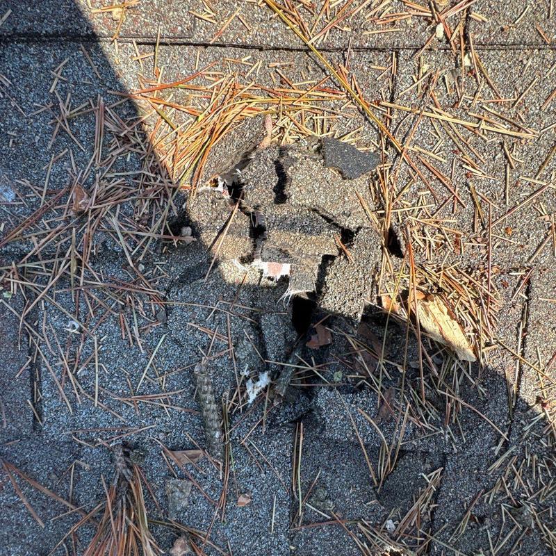 Asphalt roof shingles with hail damage and debris