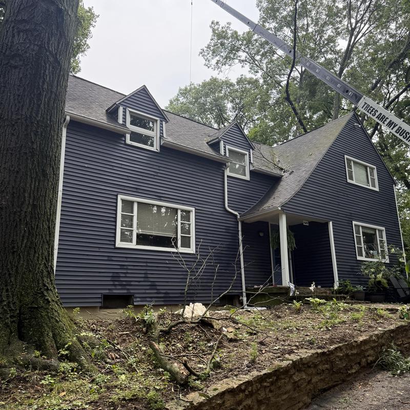 Roof storm damage with fallen tree branch and crane Roof storm damage with fallen tree branch and crane