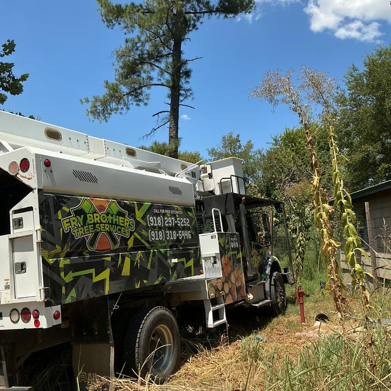 Hazardous dead pine and oak tree removal truck Hazardous dead pine and oak tree removal truck