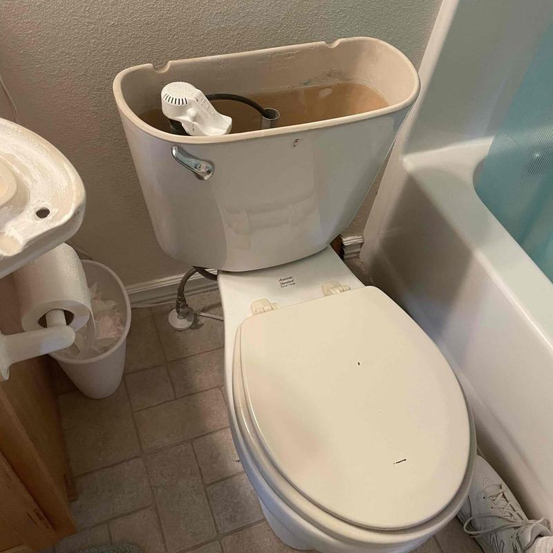 Comfort height toilet with open tank for repair