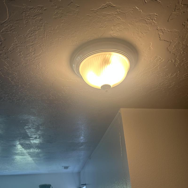 Ceiling light fixture with remodel box installed Ceiling light fixture with remodel box installed