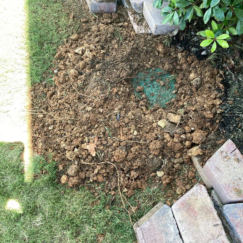 Plumbing access box and valve repair site in soil