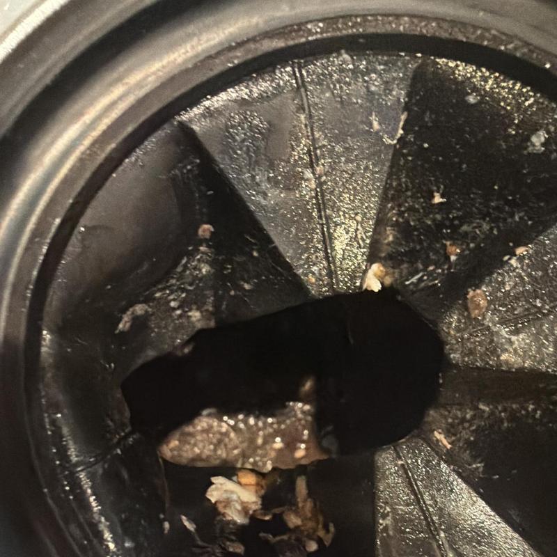 Garbage disposal with food debris clogging and residue Garbage disposal with food debris clogging and residue