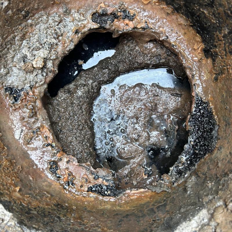 Clogged septic drain field pipe with sludge buildup