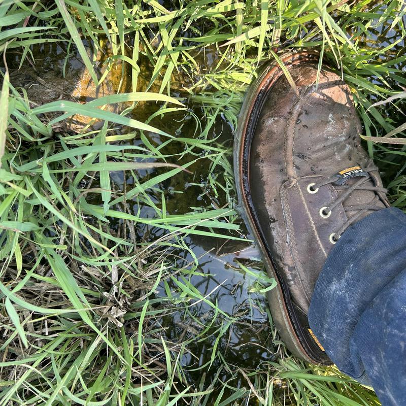 Septic drain field waterlogged test dig site with boot