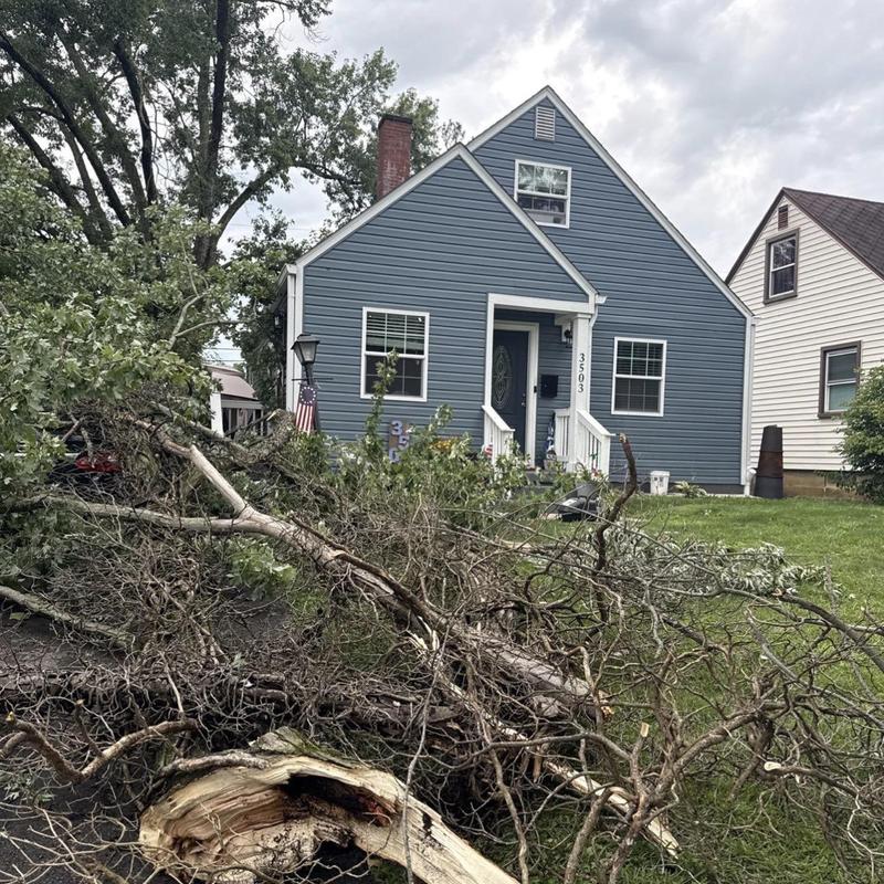 Tree fallen on lawn after storm damage near house Tree fallen on lawn after storm damage near house