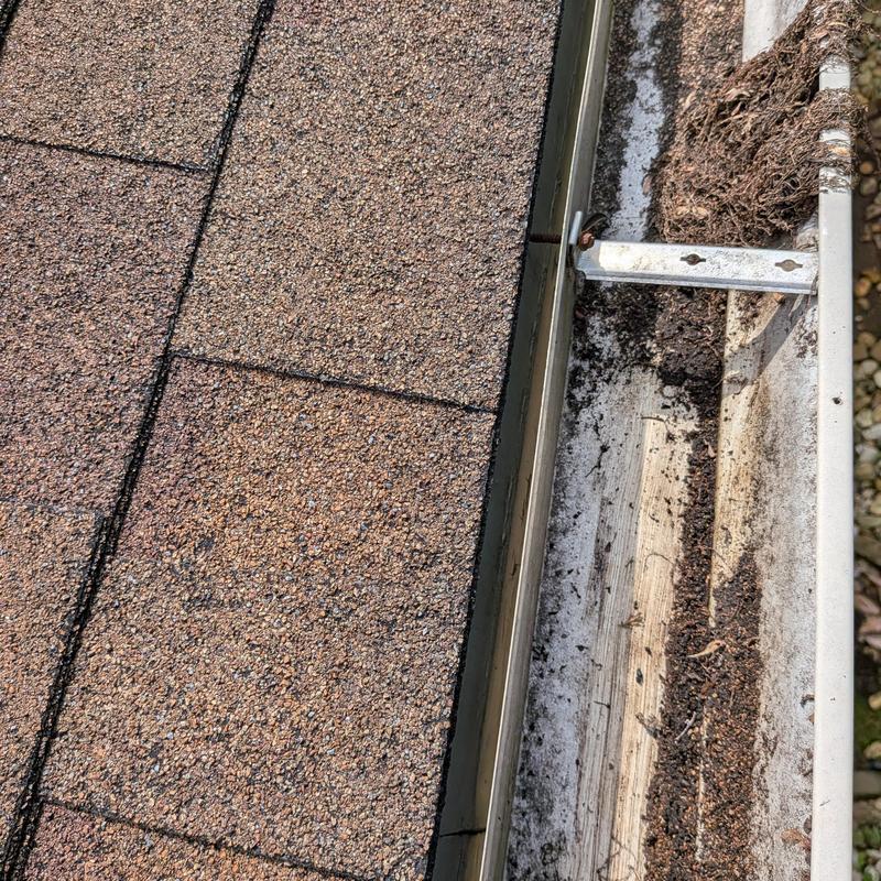 Gutter with debris buildup next to shingle roof Gutter with debris buildup next to shingle roof