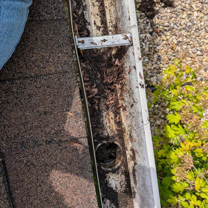 Gutter with debris buildup and downspout opening Gutter with debris buildup and downspout opening