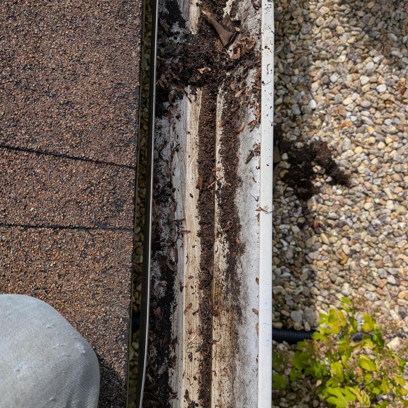 Gutter with debris buildup during inspection in Huntsville Gutter with debris buildup during inspection in Huntsville