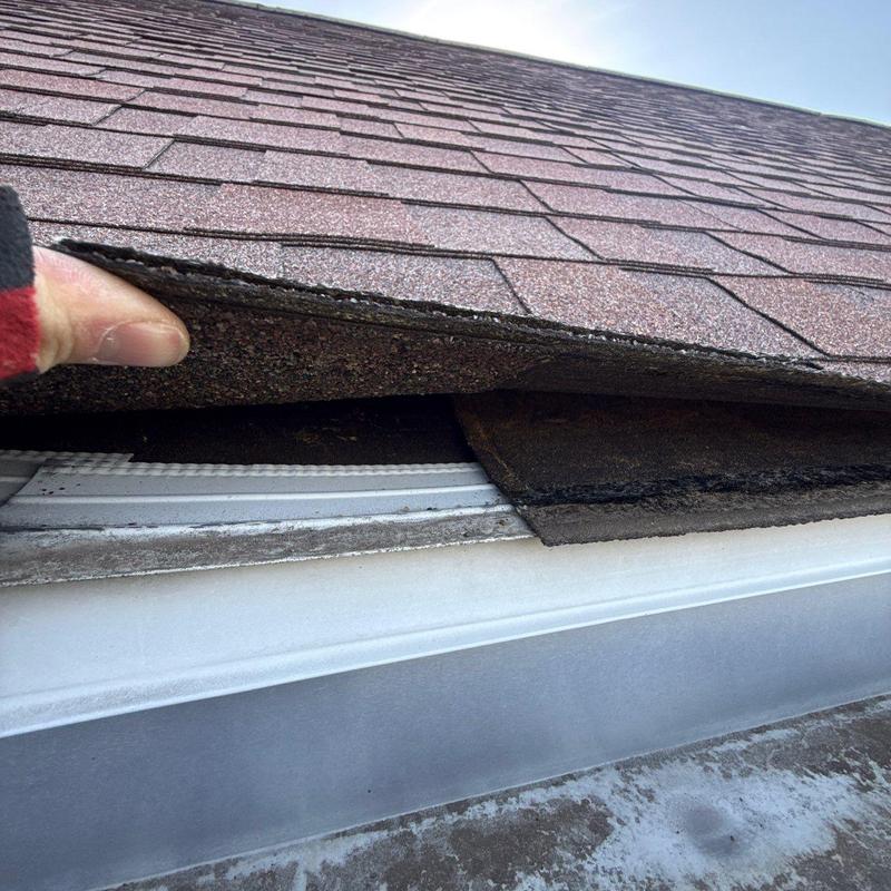 Asphalt shingle roof with lifted, damaged section