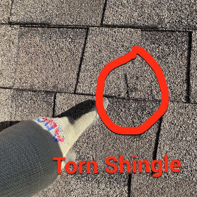Roof shingle with visible tear marked in red circle