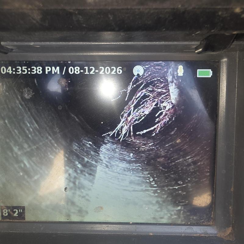 Main sewer line with root intrusion inside pipe