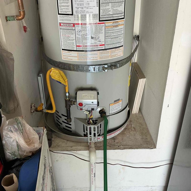Water heater with flush and descale setup