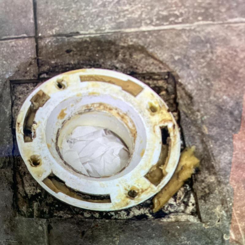 Toilet flange with cement anchors installed in bathroom floor