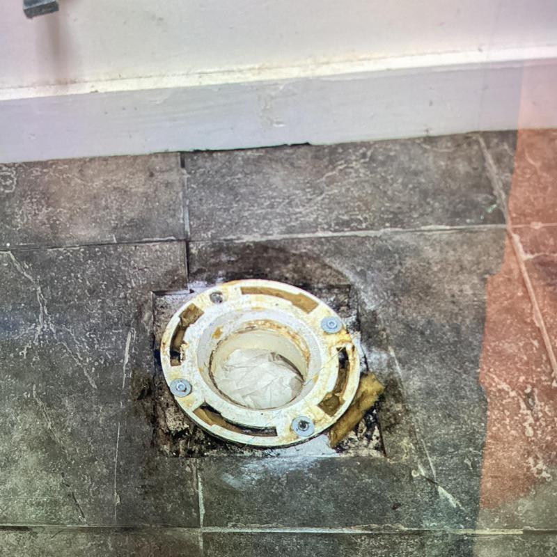 Toilet flange with cement anchors installed in bathroom floor
