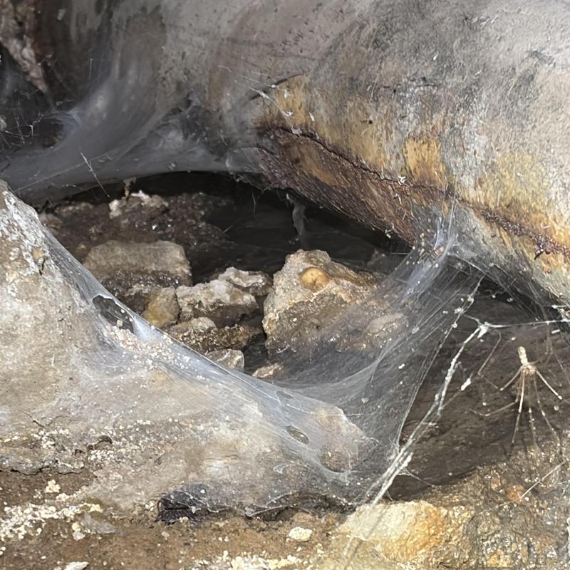 Sewer pipe with active leak and cobwebs in crawlspace Sewer pipe with active leak and cobwebs in crawlspace