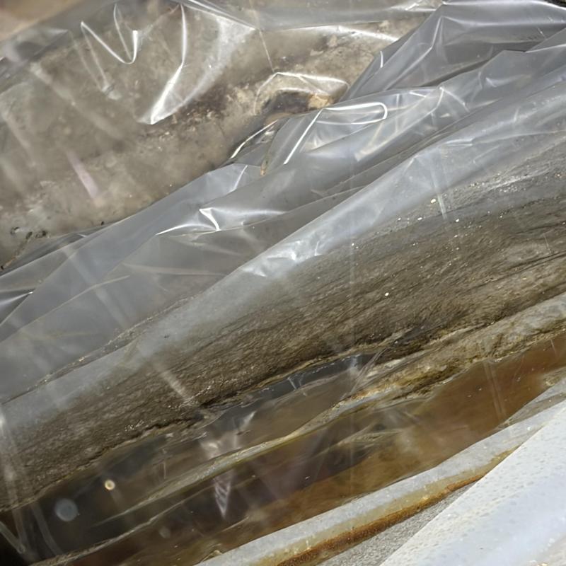 Cast-iron pipe leaking under crawlspace plastic vapor barrier Cast-iron pipe leaking under crawlspace plastic vapor barrier