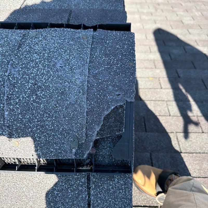 Asphalt shingle roof with hail damage and missing granules