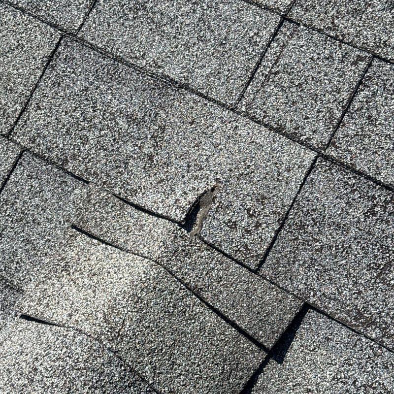 Asphalt shingles with hail damage and granule loss