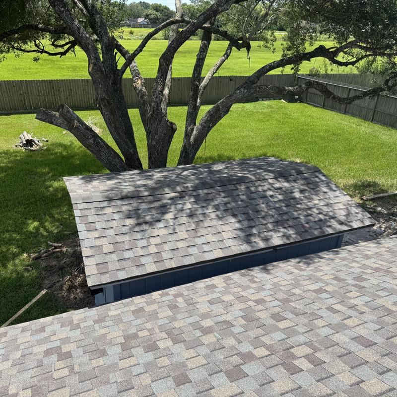 Architectural shingle roof on backyard shed