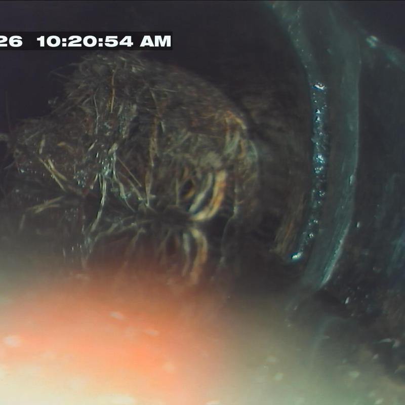 Drain line root intrusion blocking flow inside pipe