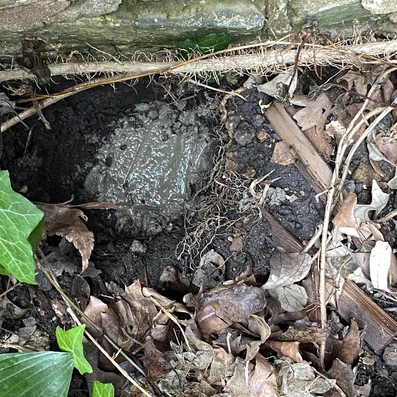 Concrete foundation patch surrounded by soil and leaves