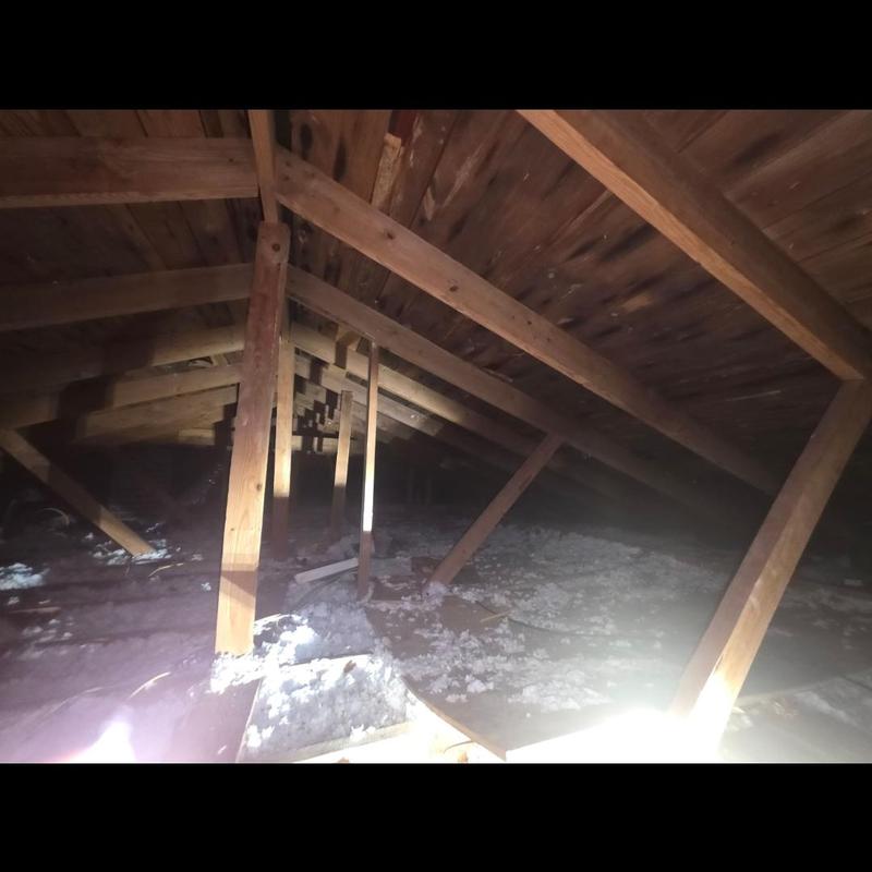 Attic roof framing and insulation inspection in Simpsonville Attic roof framing and insulation inspection in Simpsonville